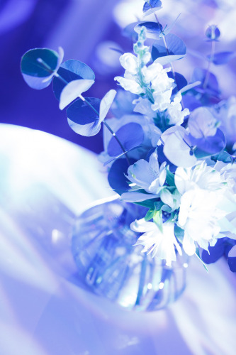 Dia-do-Médico-0004