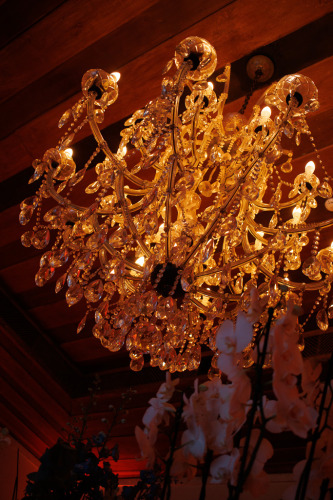 Dia-do-Médico-0376