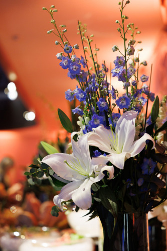 Dia-do-Médico-1241